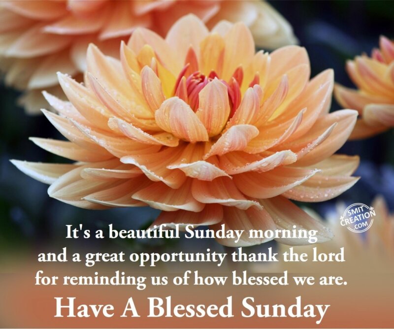 Have A Blessed Sunday SmitCreation