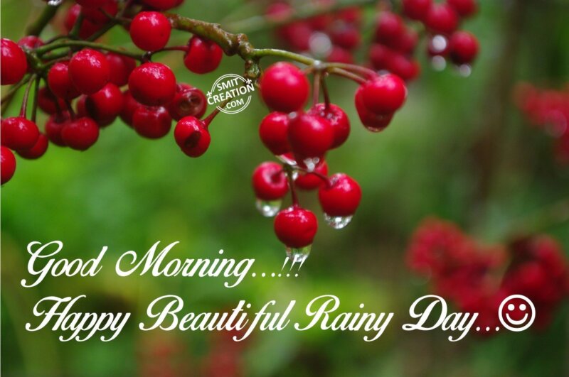 Good Morning…Happy Beaautiful Rainy Day.. - SmitCreation.com