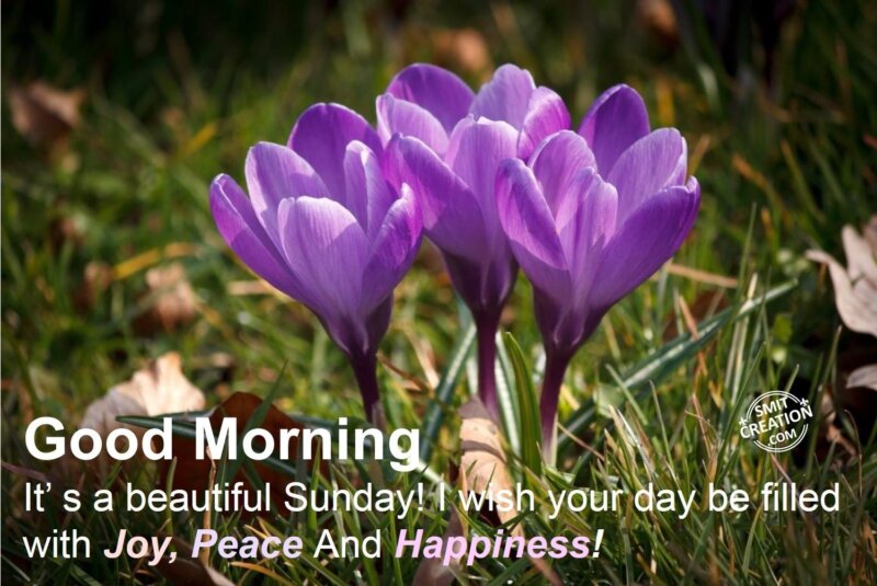 Good Morning – It's a Beautiful Sunday! - SmitCreation.com