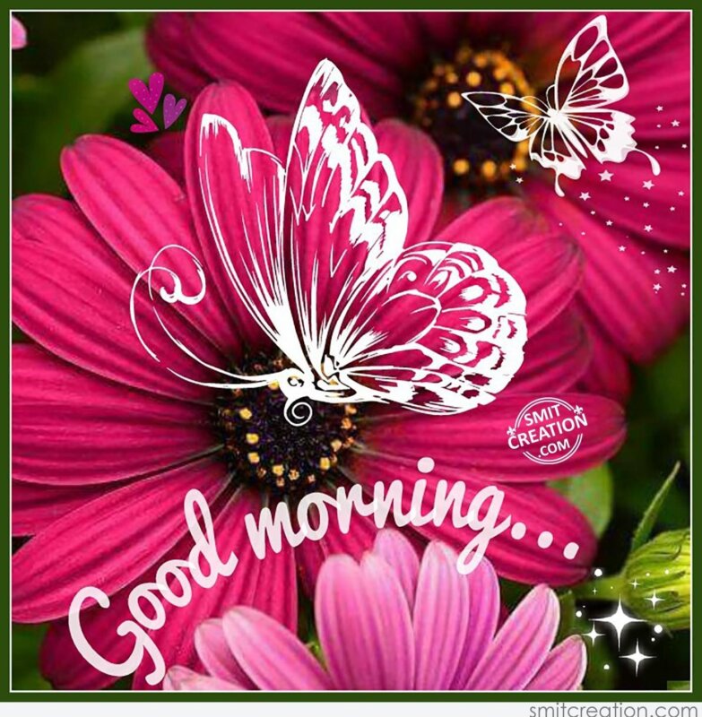 Good Morning Flowers Pictures and Graphics - SmitCreation.com