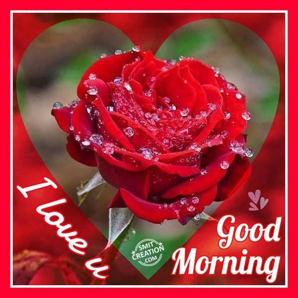 Happy Morning – I love you! - SmitCreation.com