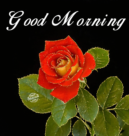 Good Morning Gif Pictures and Graphics - SmitCreation.com - Page 3