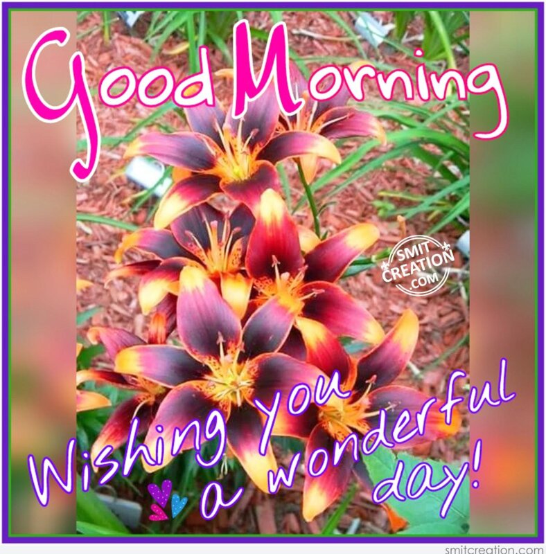 Good Morning – Wishing You A Wonderful Day - SmitCreation.com