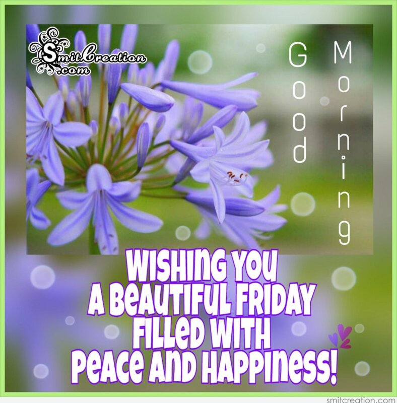 Good Morning Wishing You A Beautiful Friday SmitCreation