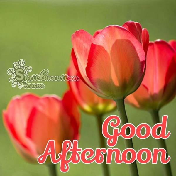 6 Good Afternoon Flower - Pictures and Graphics for different festivals