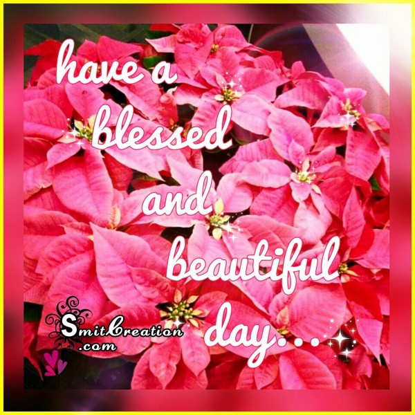 Have a blessed and beautiful day