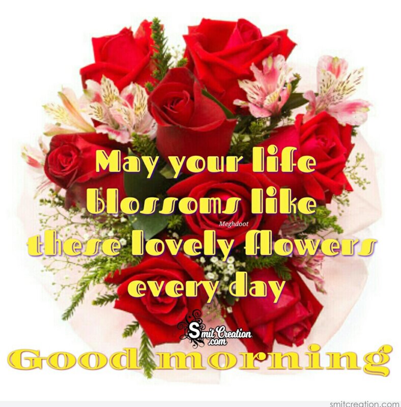 Good Morning May Your Life Blossom Like These Lovely Flowers Smitcreation Com