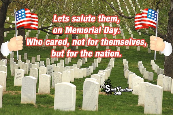 Lets Salute Them, On Memorial Day.