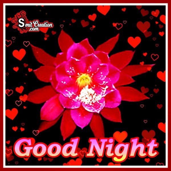Good Night Rose Flower With Stars - SmitCreation.com