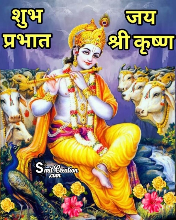 Shubh Prabhat Krishna With Cows