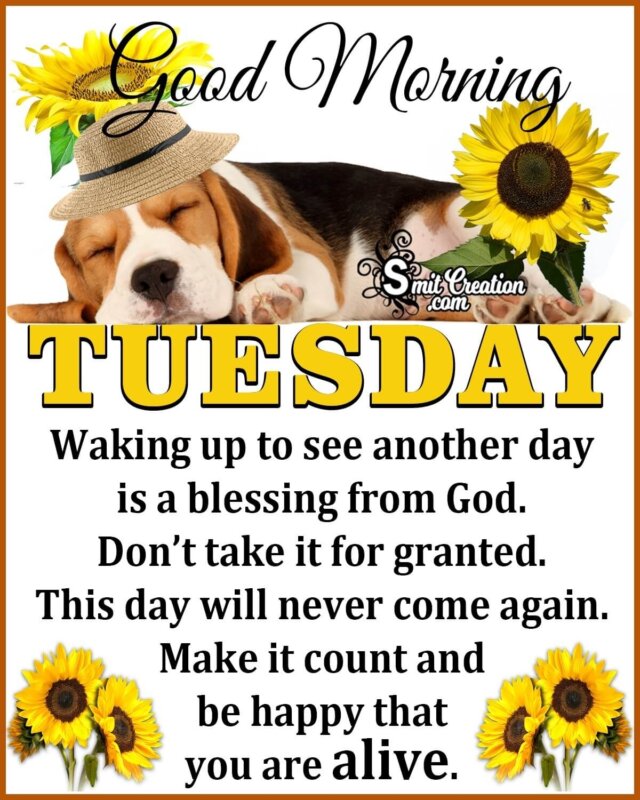 Good Morning Tuesday Blessing Quote - SmitCreation.com