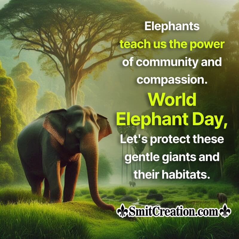 Happy World Elephant Day Wonderful Message Image